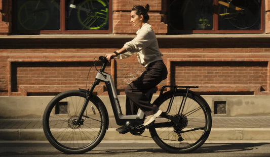 Gepäckträger Urtopia Fusion - MabeaMobility